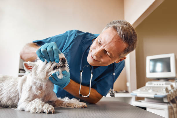 Best Same-Day Emergency Dental Services in Burwell, NE